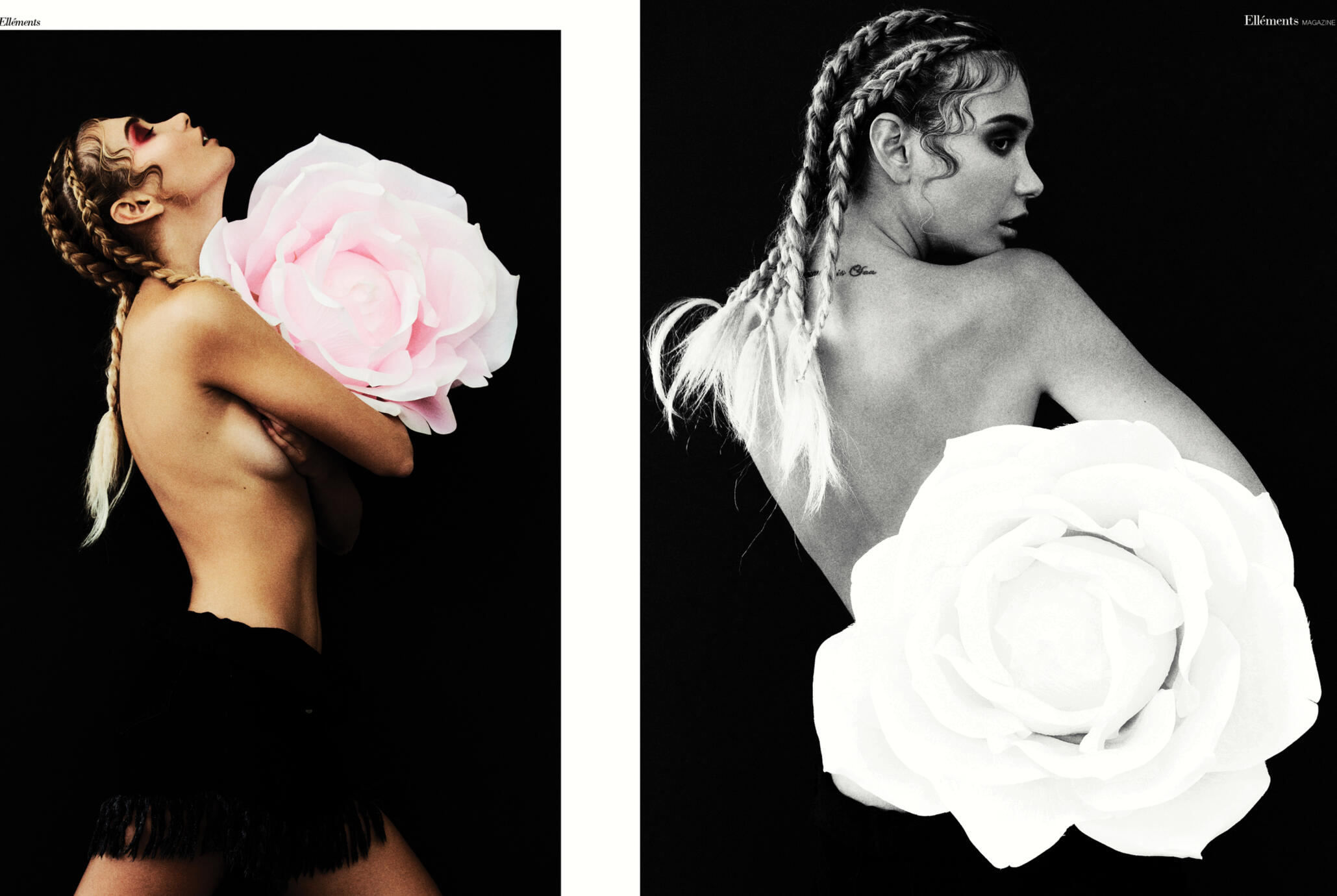 Viverra orci dapibus